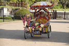news/images/pedicab-714158__180.jpg